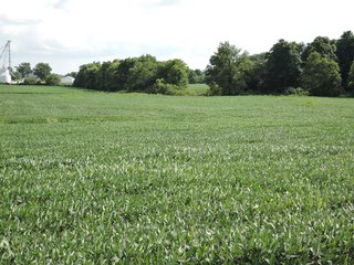 Property photo 2 - LAND AUCTION - 71+/- ACRES OFFERED IN 2 TRACTS IN DELAWARE CO., INDIANA